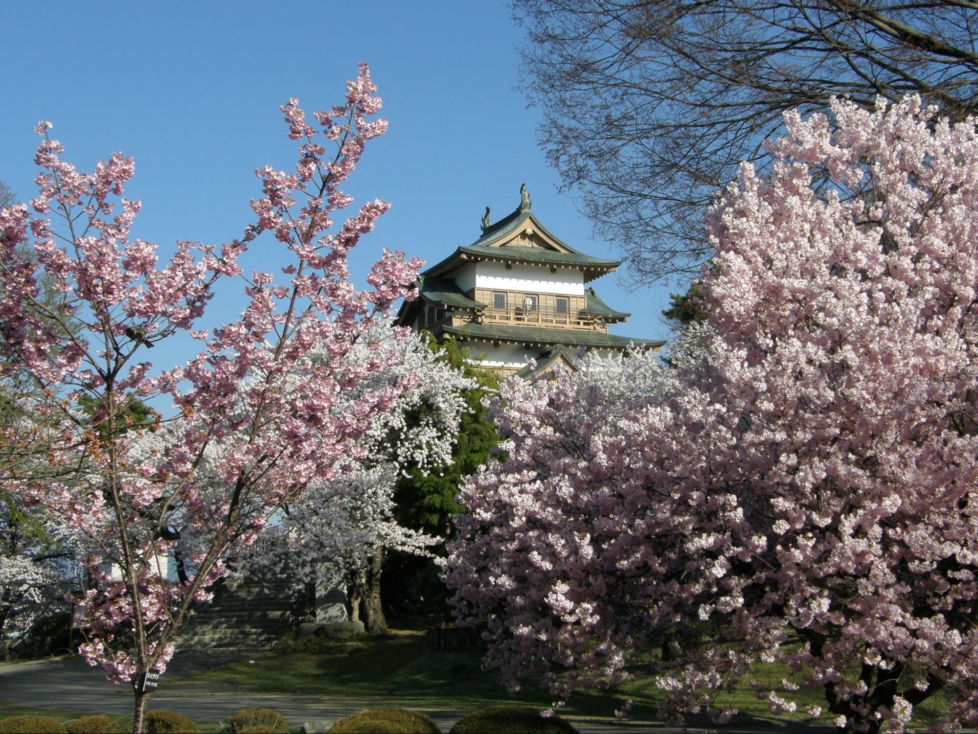 suwa 高島城・高島公園
