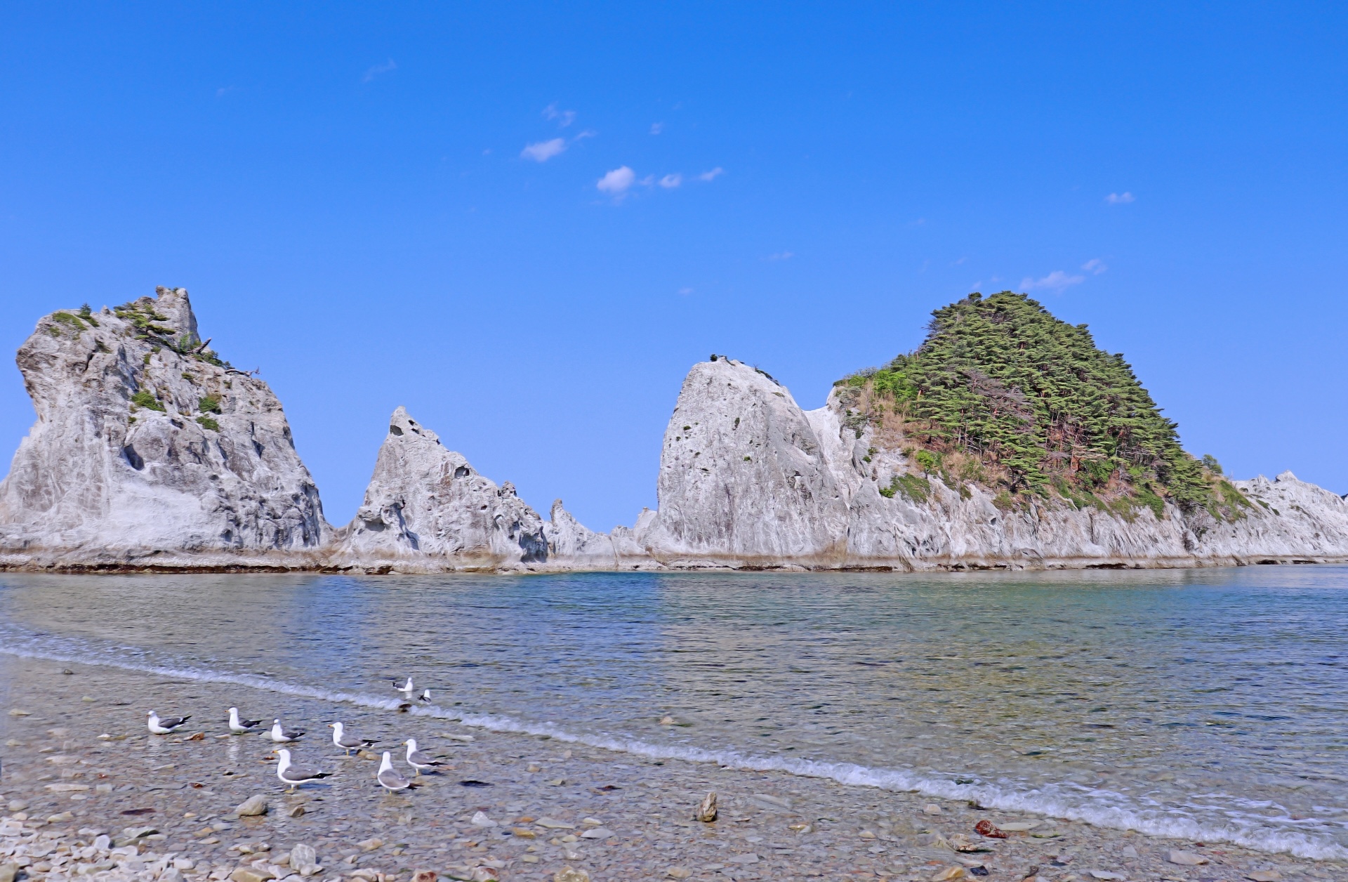 盛岡市 三陸海岸