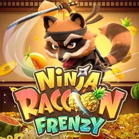 Ninja Raccoon Frenzy