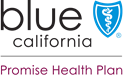 LOGO BSC Promise Health