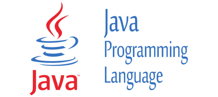 Java Programming Language