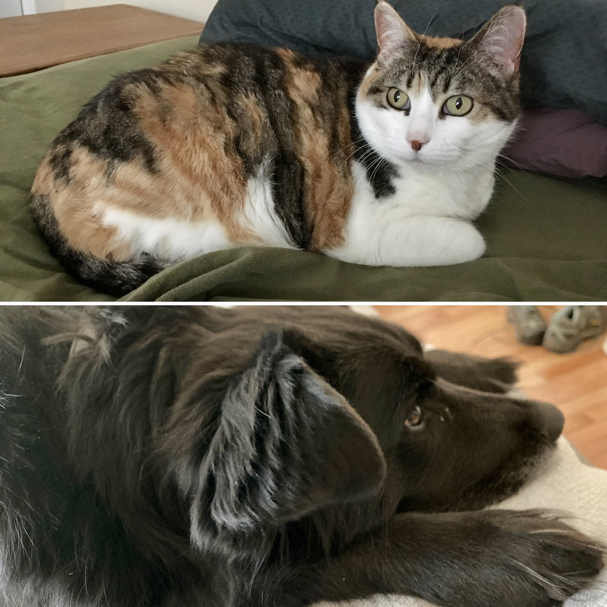 Ramona and Sophie