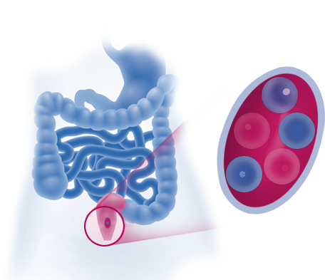 Microlax softens stool and stimulates bowel movement