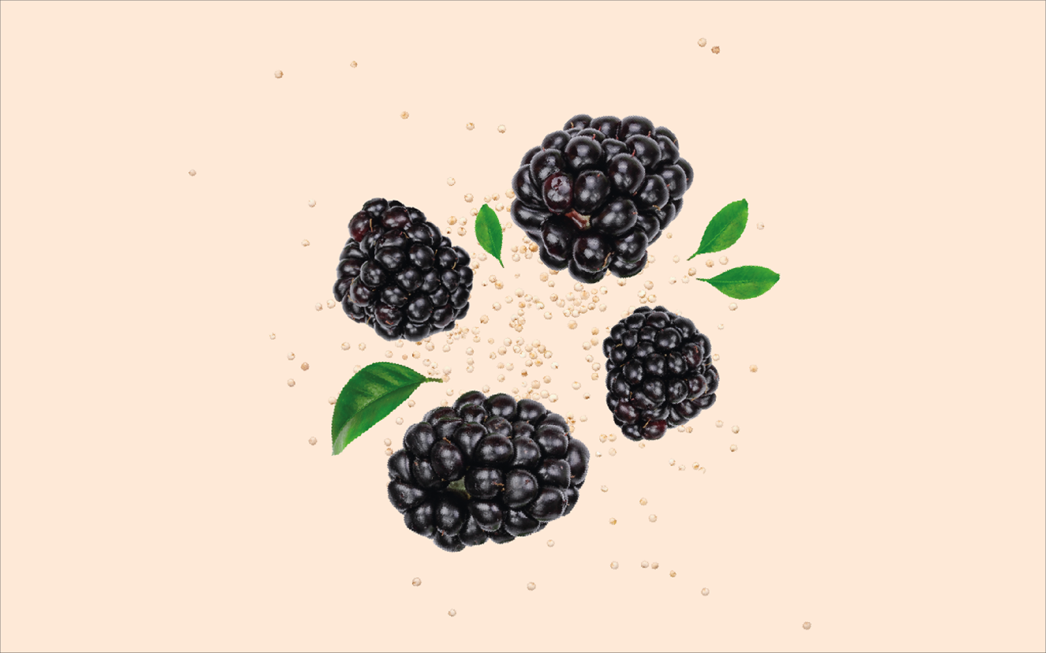 BLACKBERRY & QUINOA