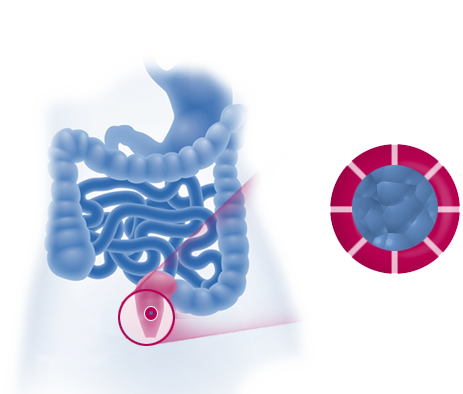 Microlax Microenema Rectal Solution