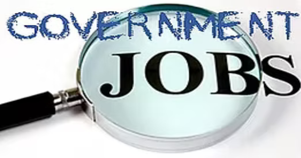 What Is A Federal Resume