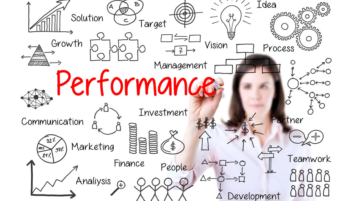 How to establish an excellent performance management process in project-centric organizations?