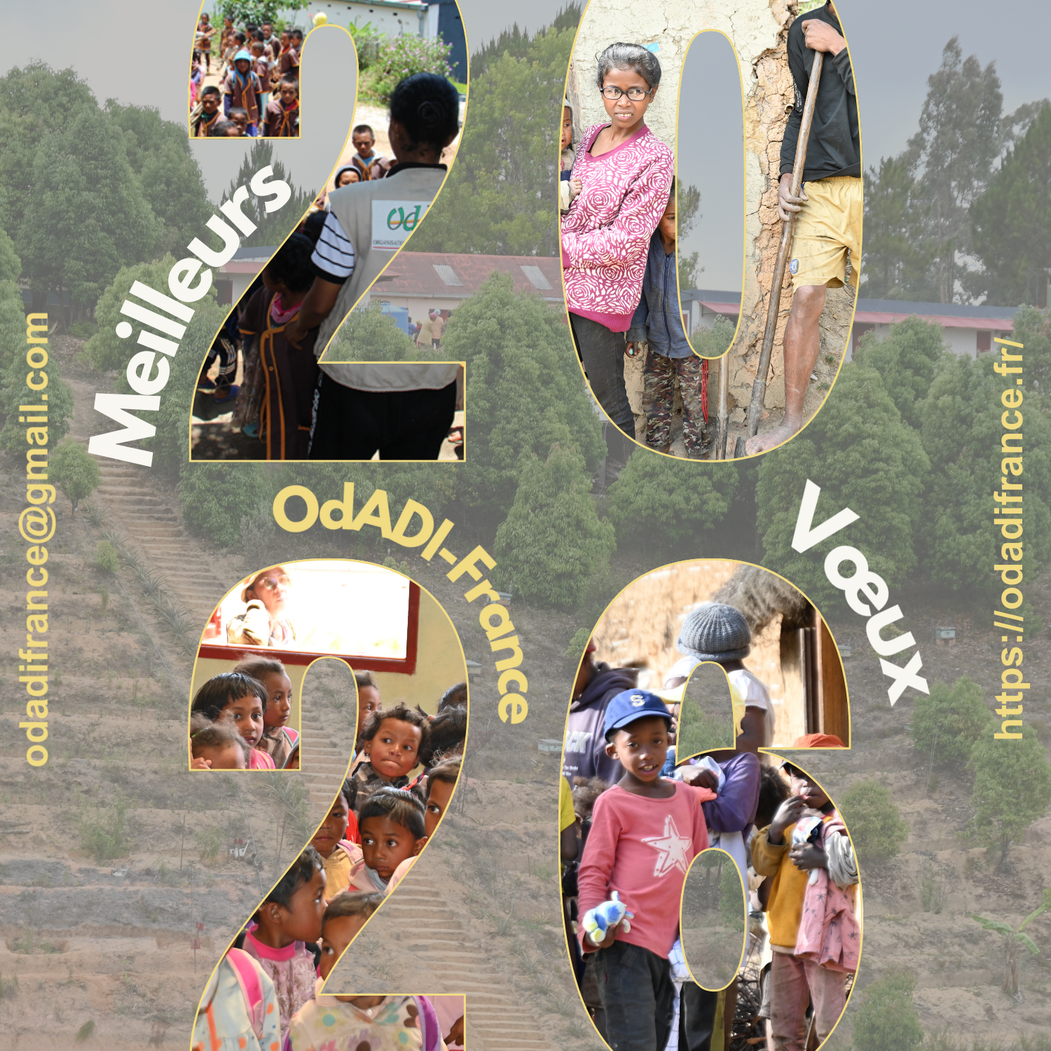 Carte de Vœux 2026 OdADI France.png