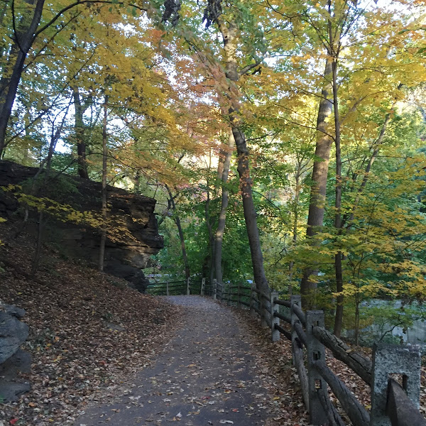 Forbidden Drive Hiking Trail - Philadelphia, Pennsylvania, USA