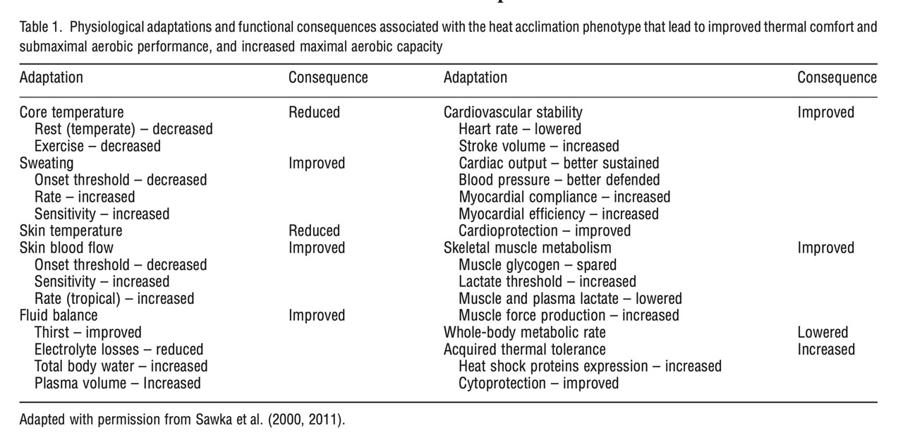 The physiological adaptations of HA. Source: https://pubmed.ncbi.nlm.nih.gov/25943654/