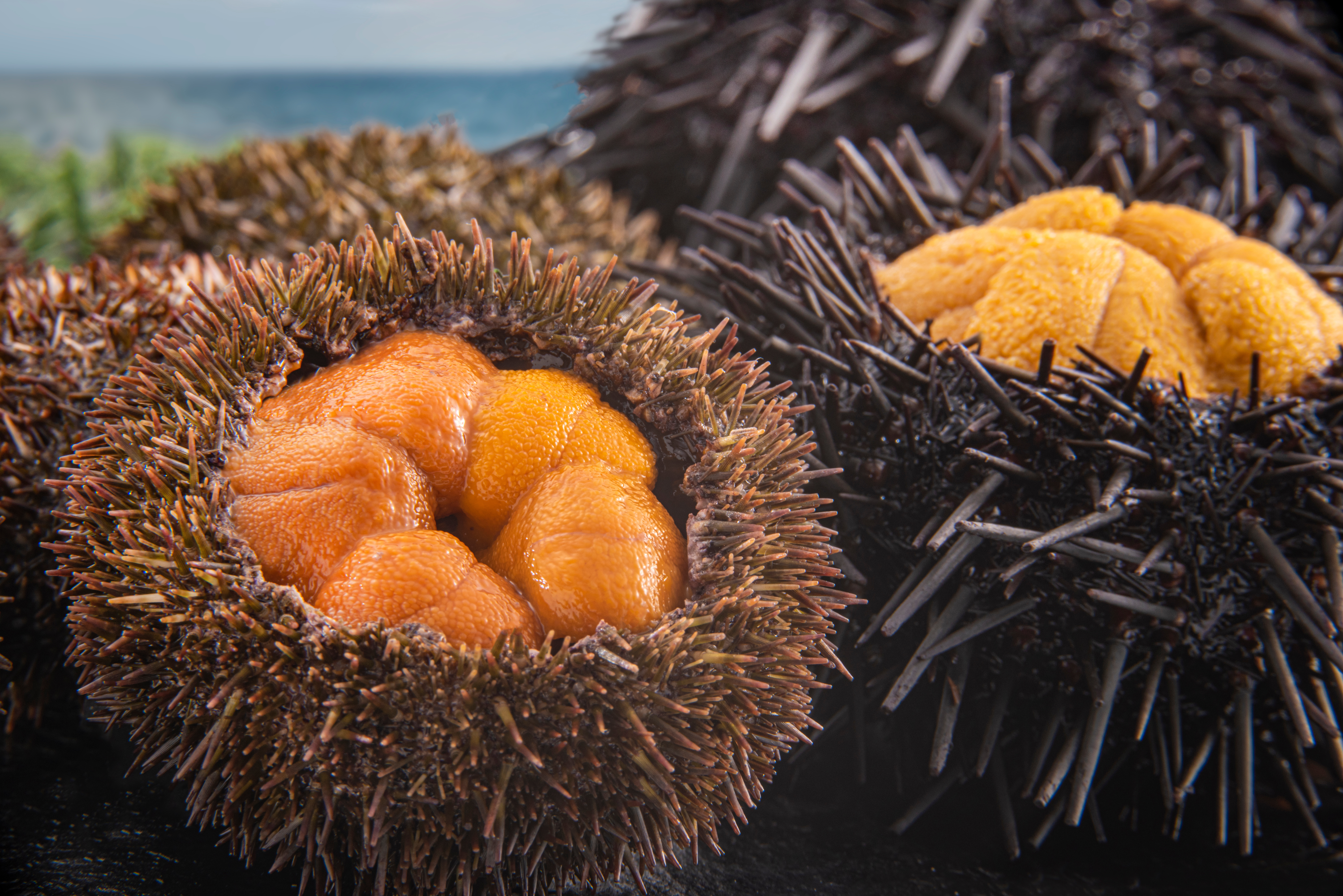 uni_Comparison