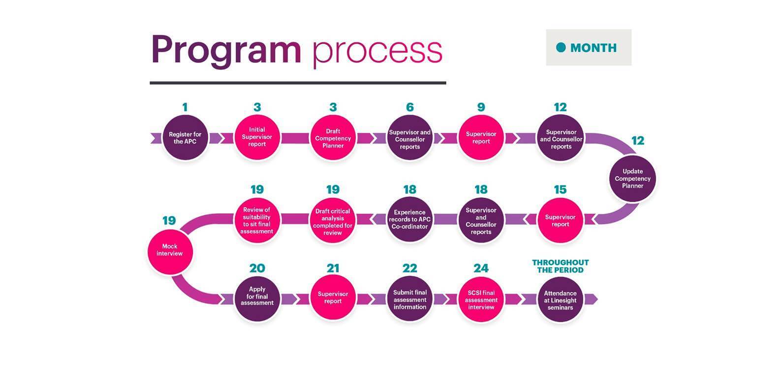 Insight The Linesight approach - APC Program Process Map