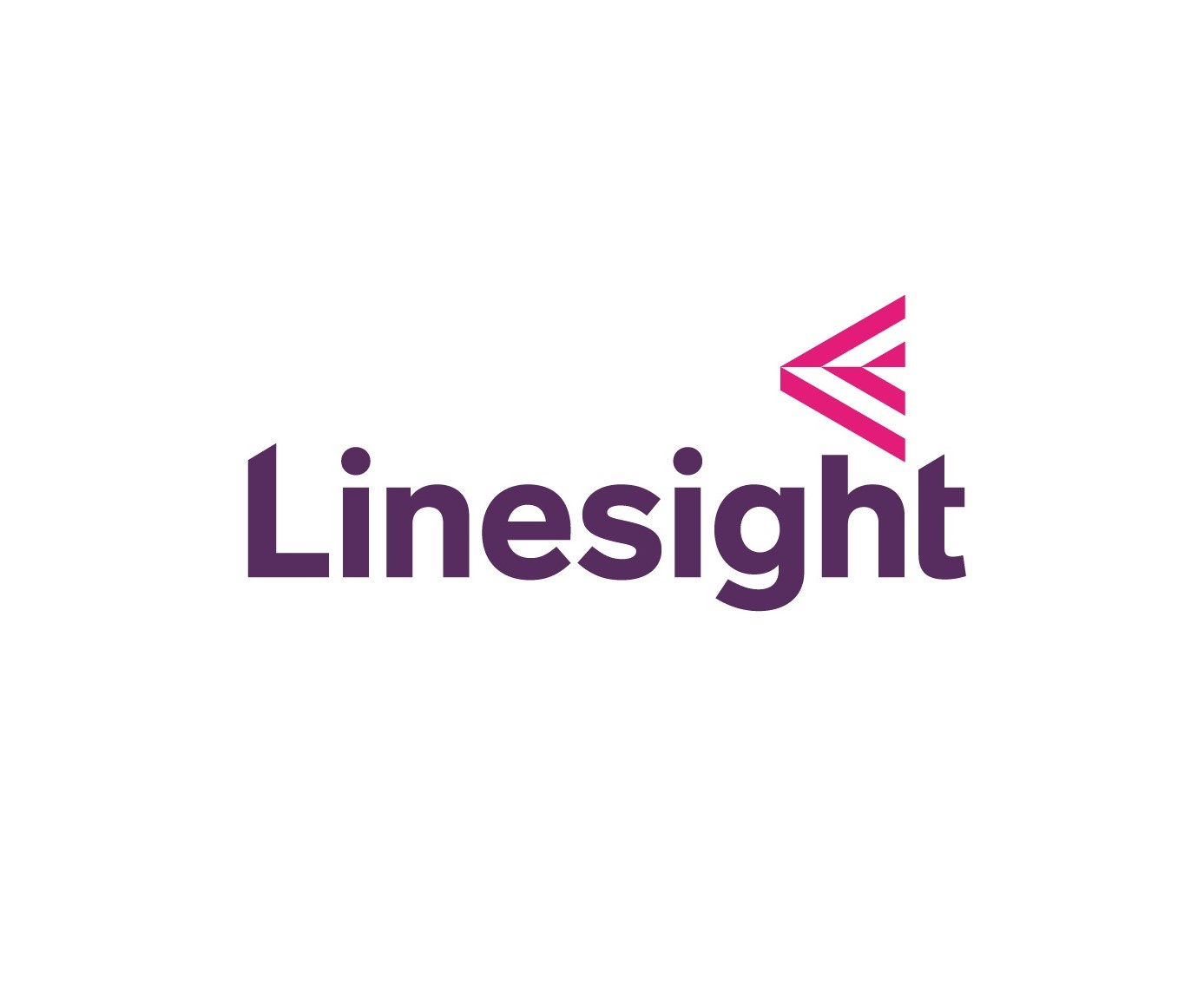 About Linesight | Company Information - Linesight