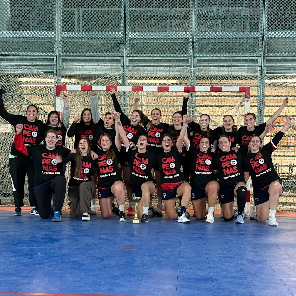 Imagen deAlbatros Handball: Campeonas Apertura 2025