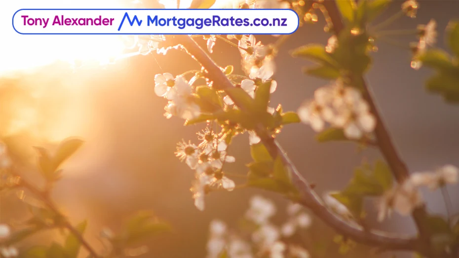 Tony Alexander and Mortgage Rates logo, tree flowers blossoming with sunset in the background