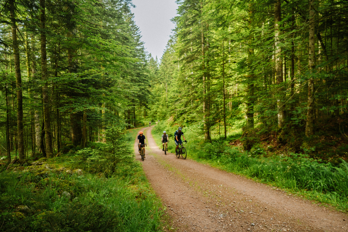 Roadbook Vosges Adventurer GravelUp - Day 4