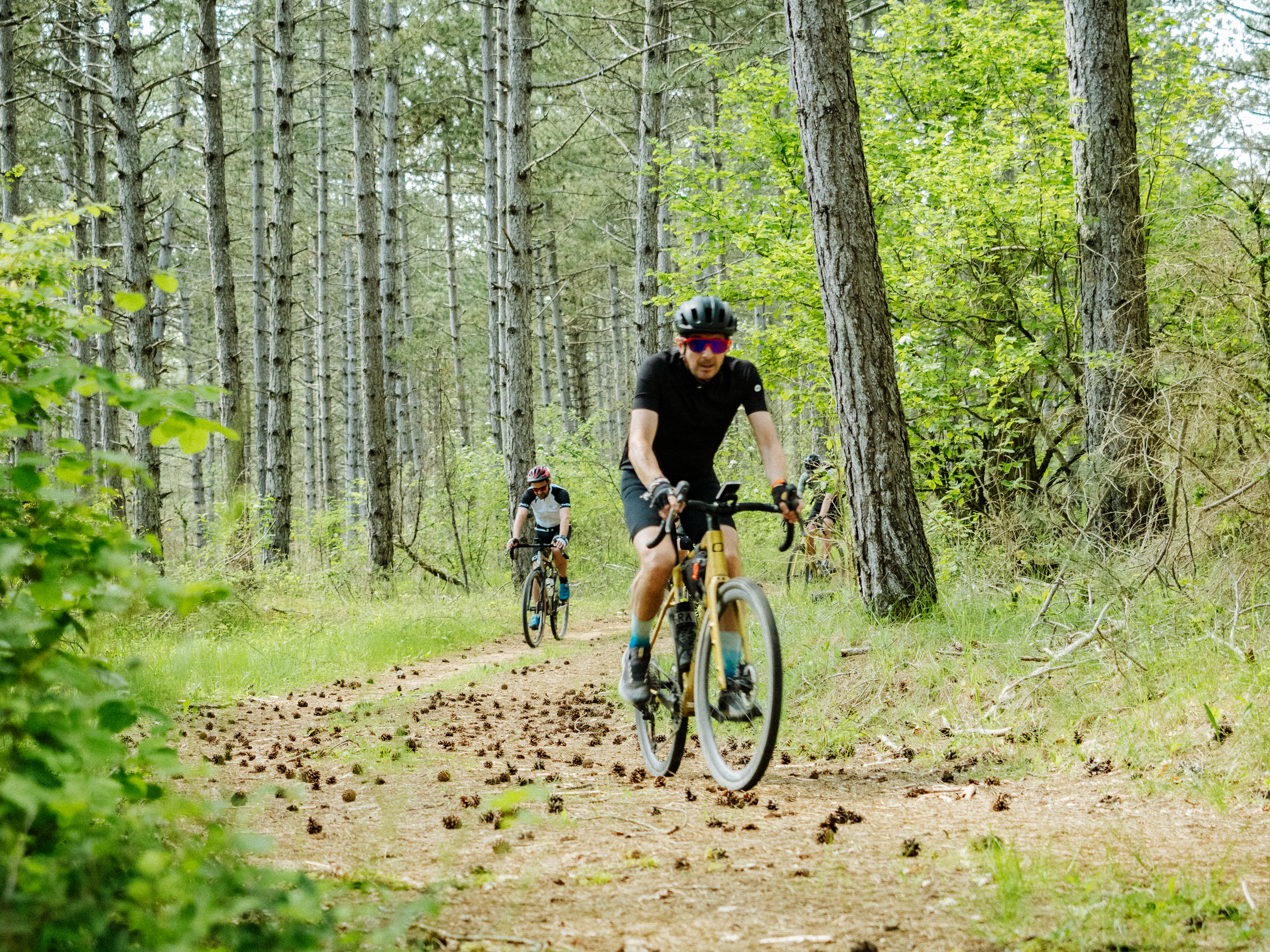 Gravel camp Origine_pistes forestières