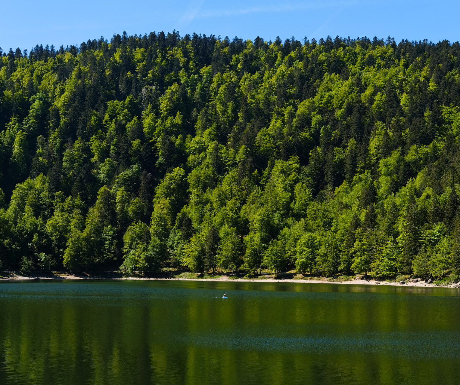 Vosges en gravel