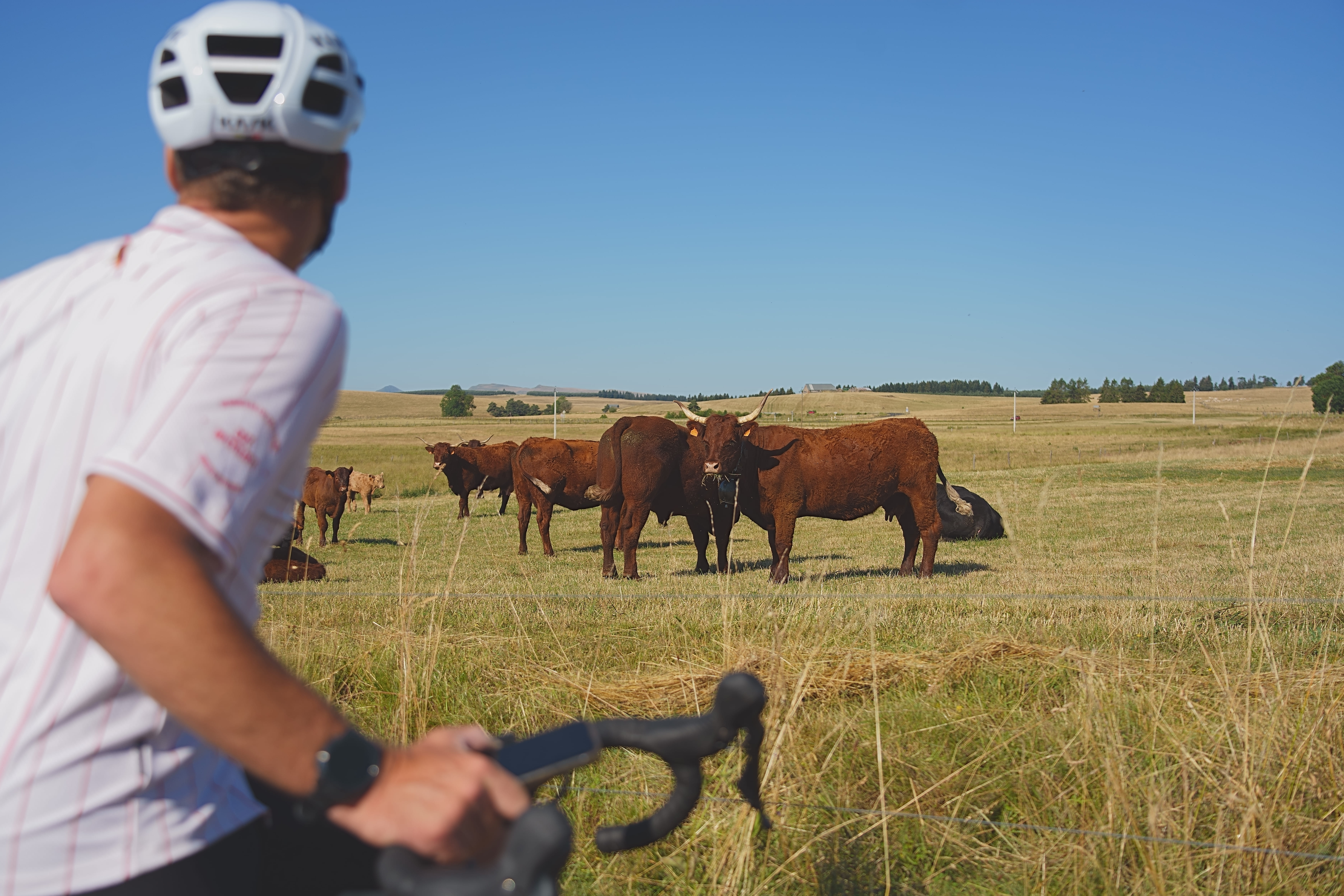 gravel-cantal-ferme-montagne-auvergne