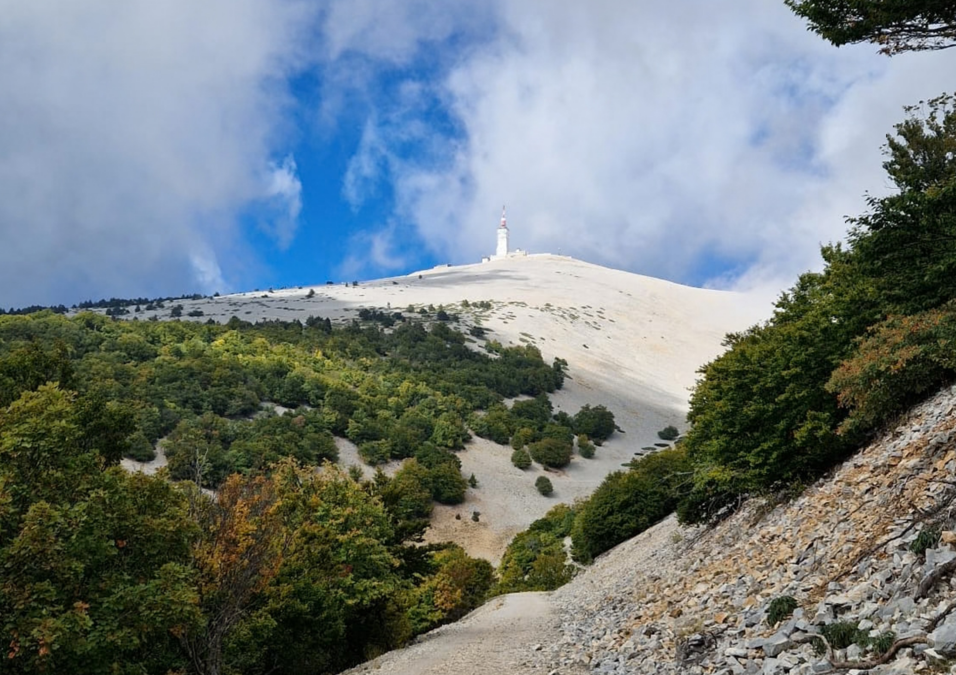 Ventoux_Wilma_6