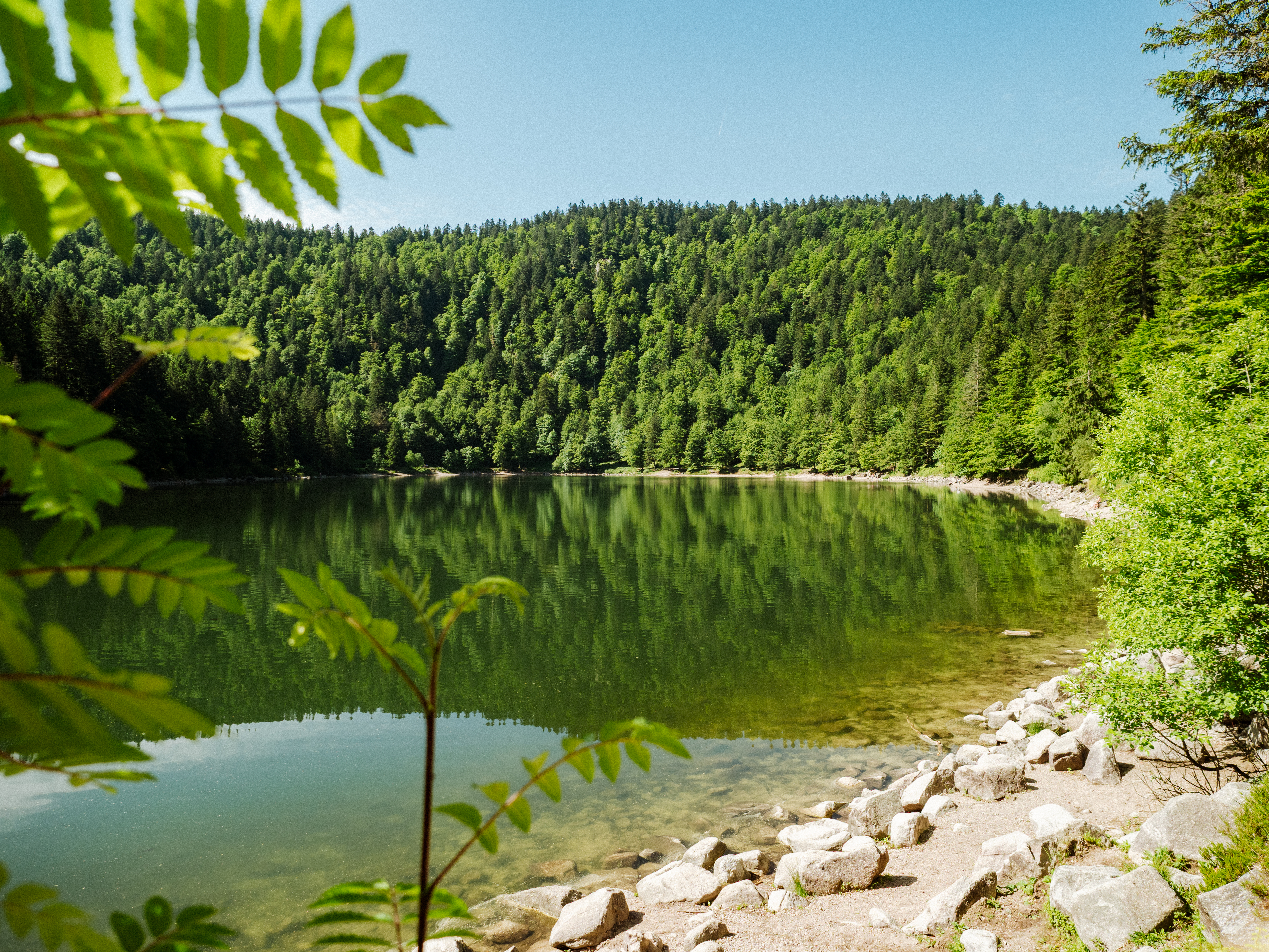 VGS_LIB_Lac Vosgiens