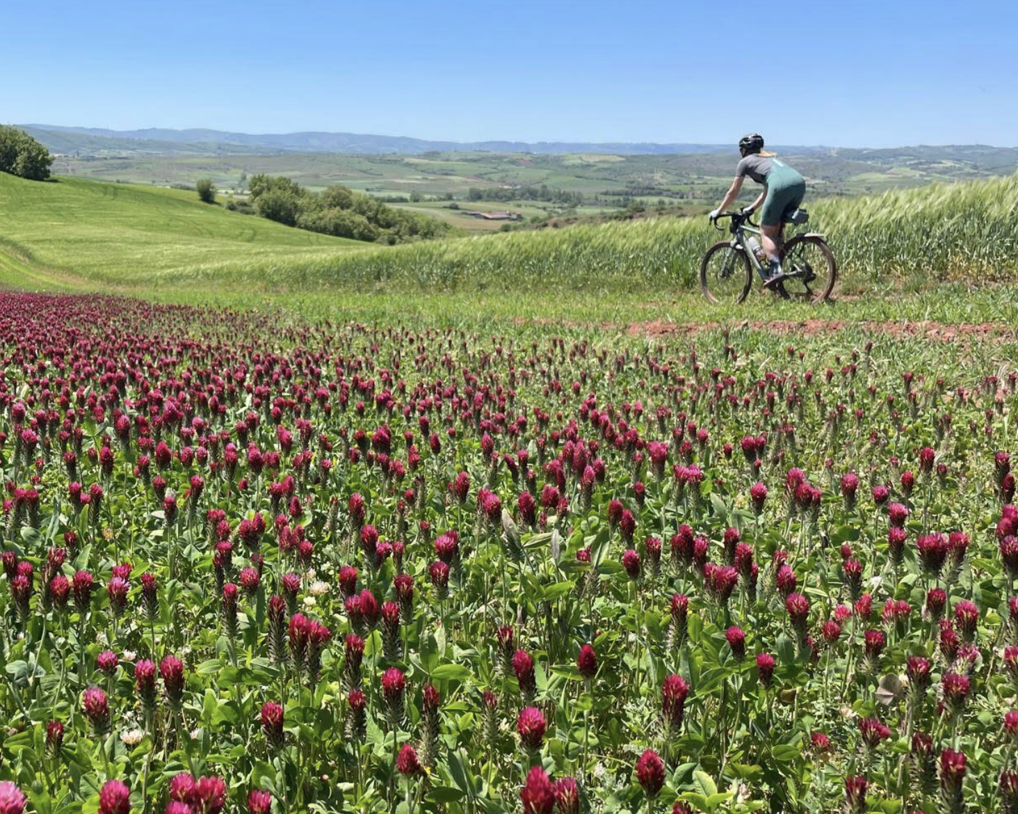 Lise_ Mouge_avis_Wilma