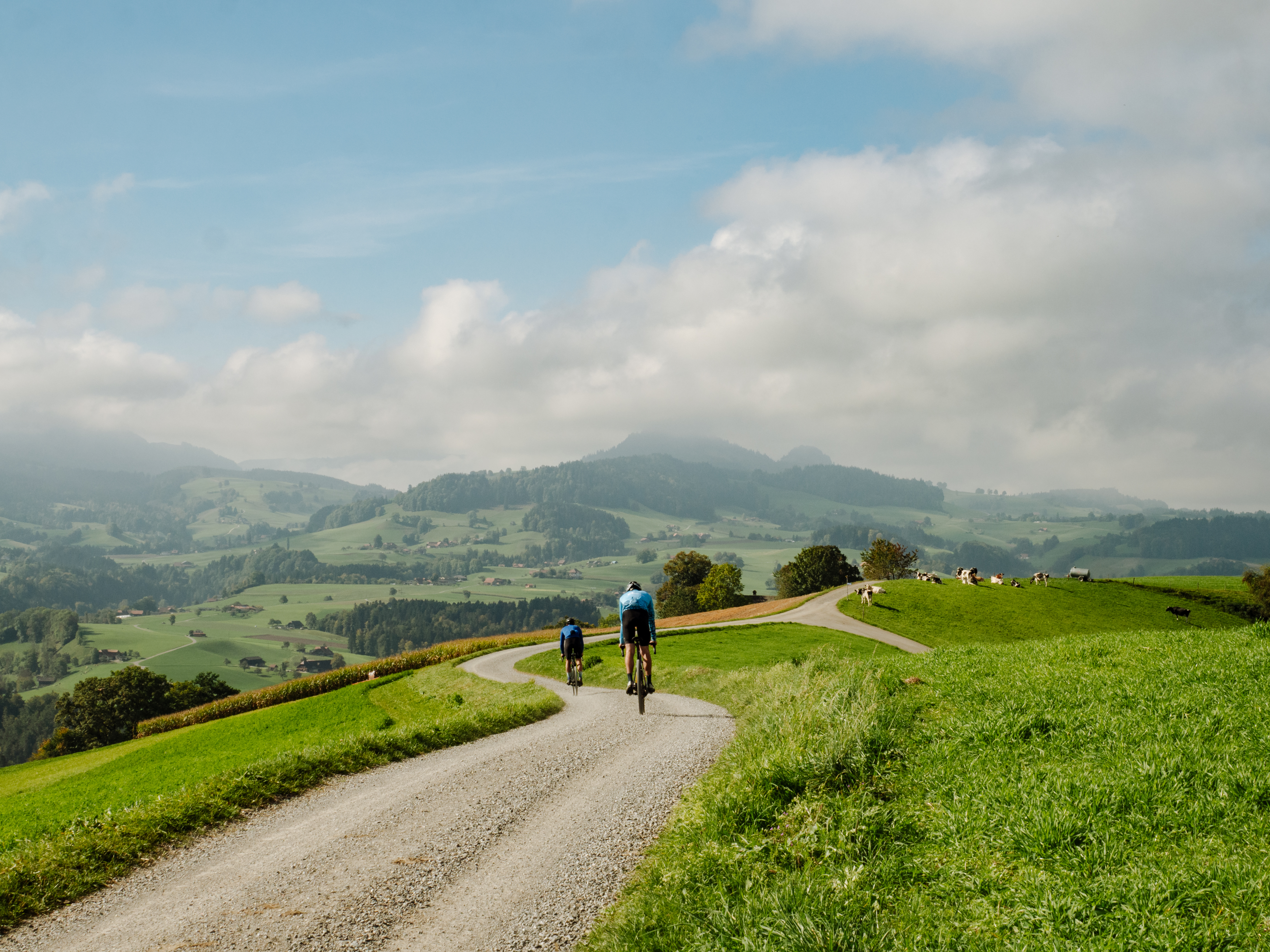 header_Suisse