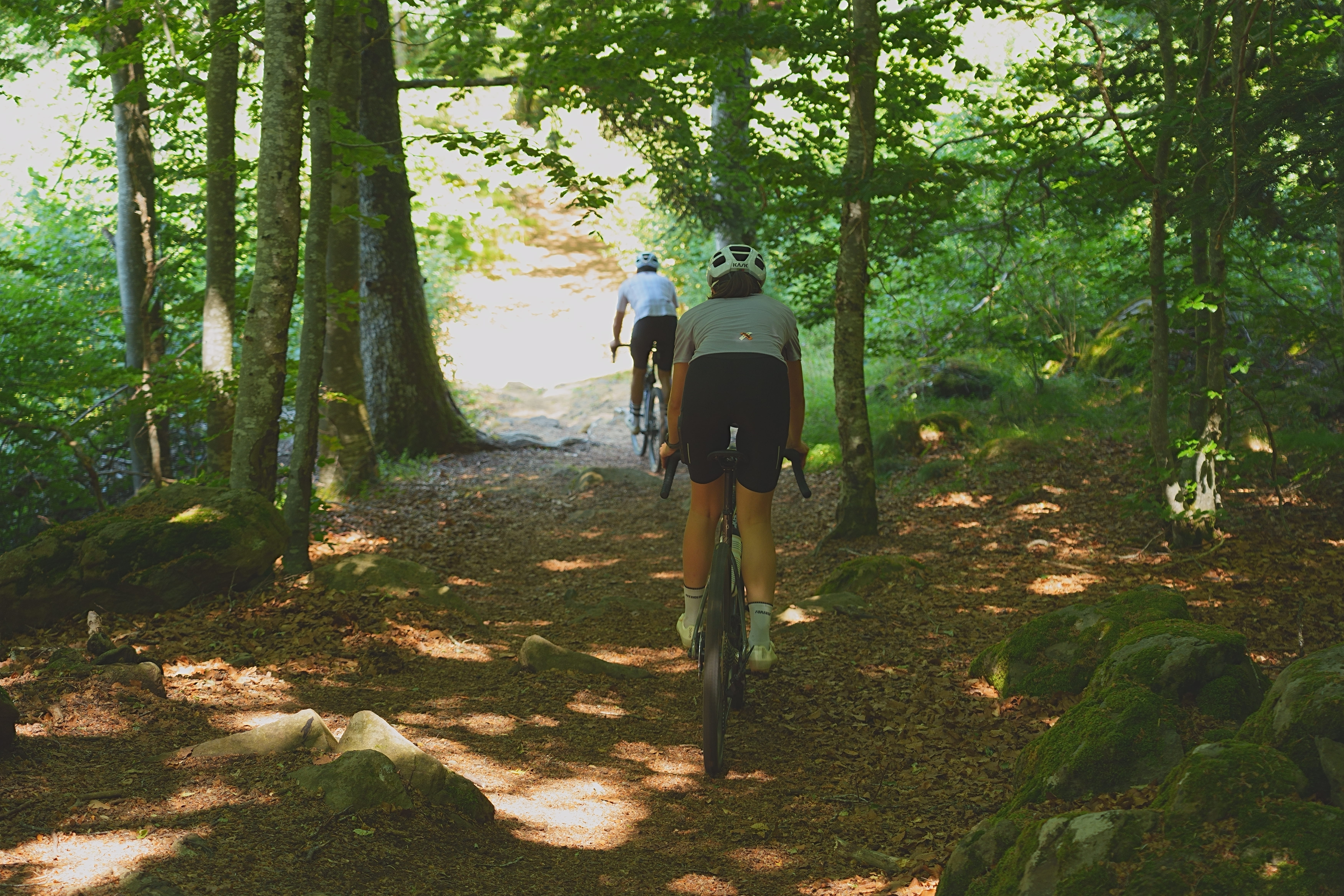 gravel-cantal-gravel-foret