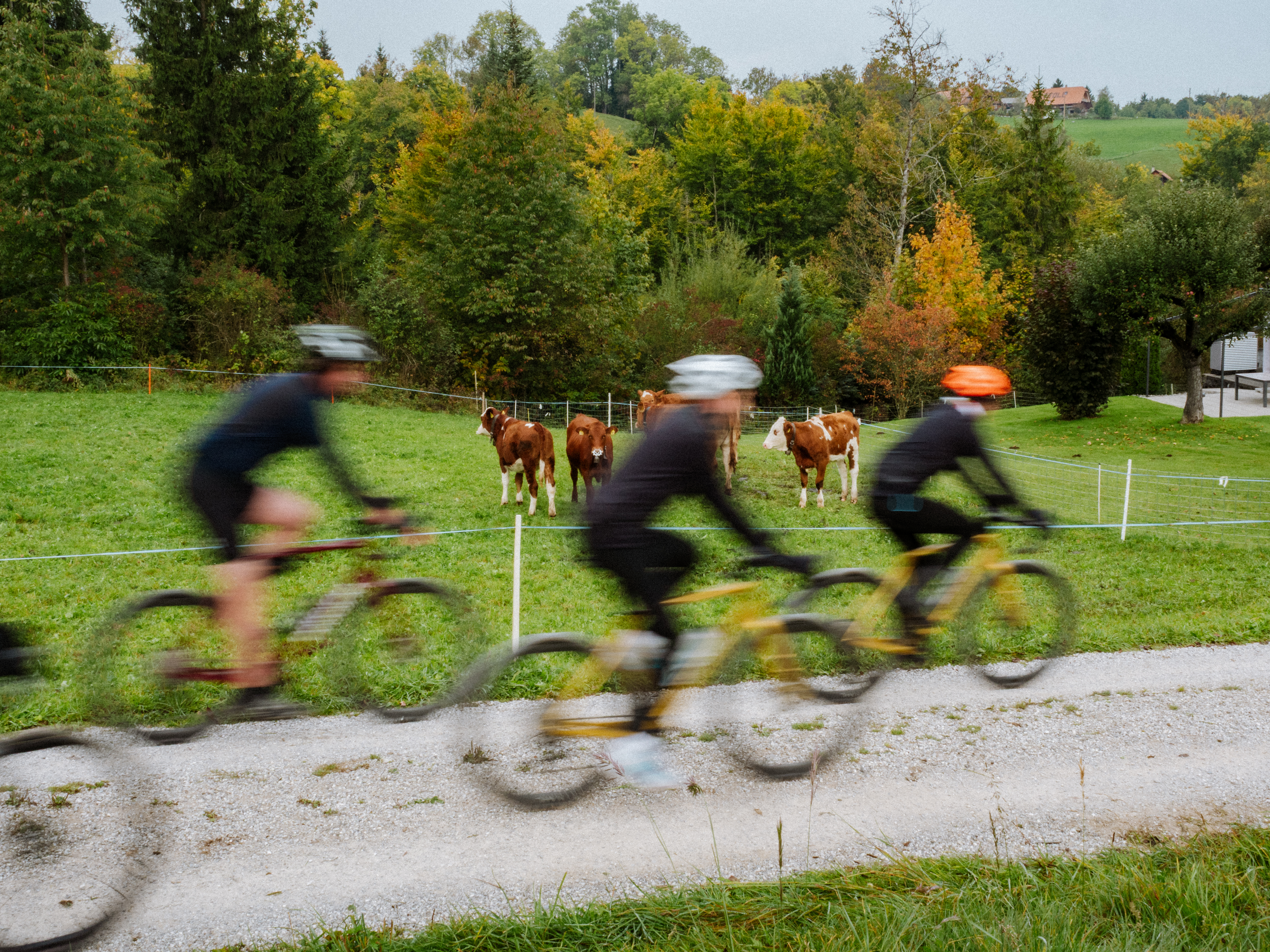 Jour 4_Adventurer_Alpes Suisses