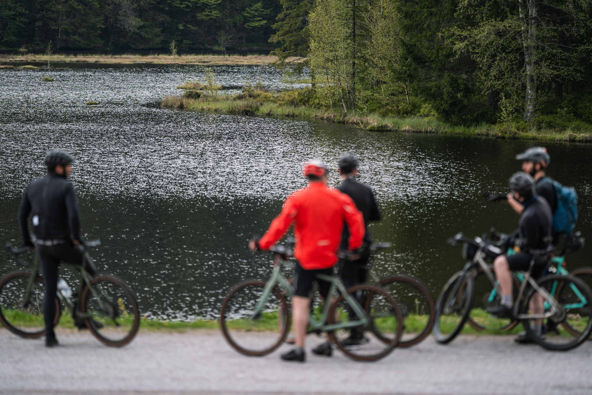 Massif des Vosges en gravel