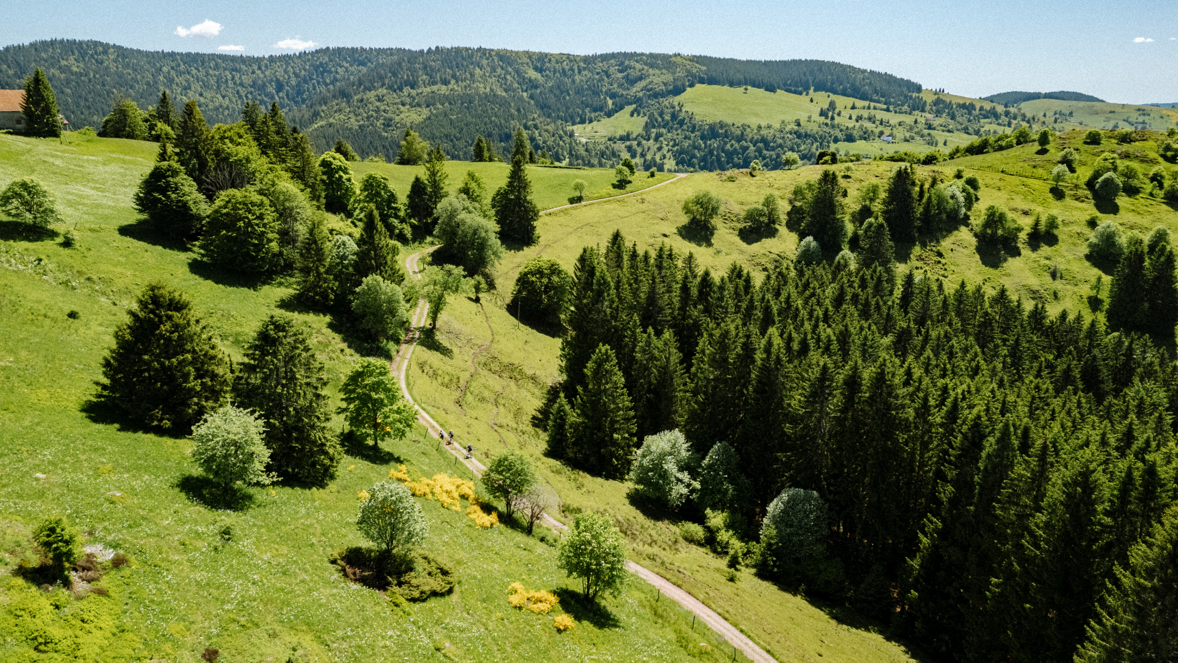 VGS_LIB_Photos header