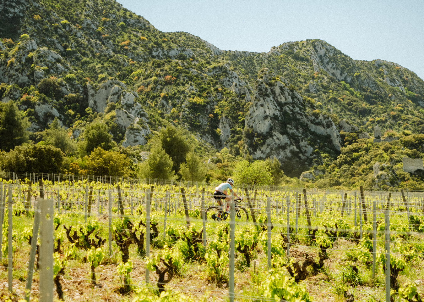 Alpilles - Adventurer 4
