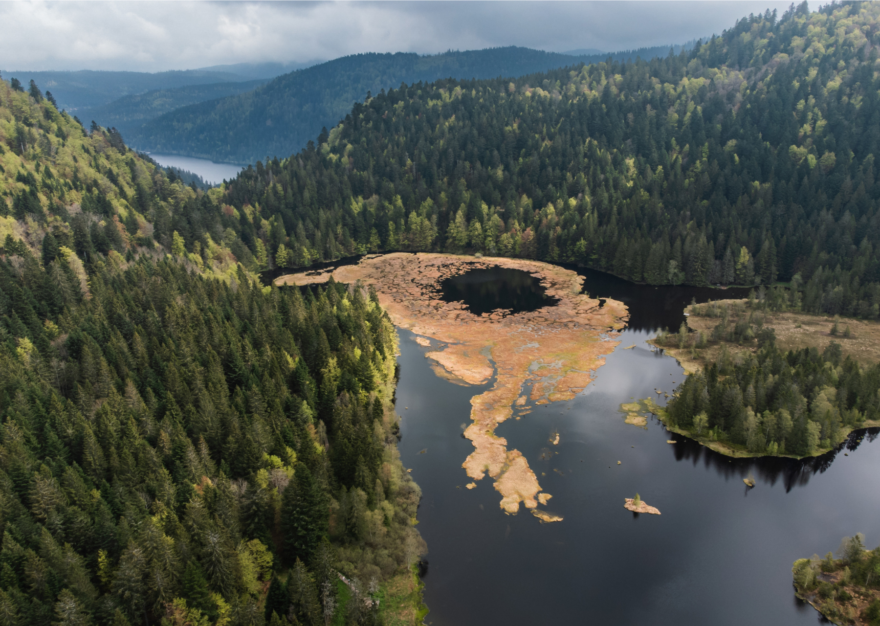 Vosges Gravel