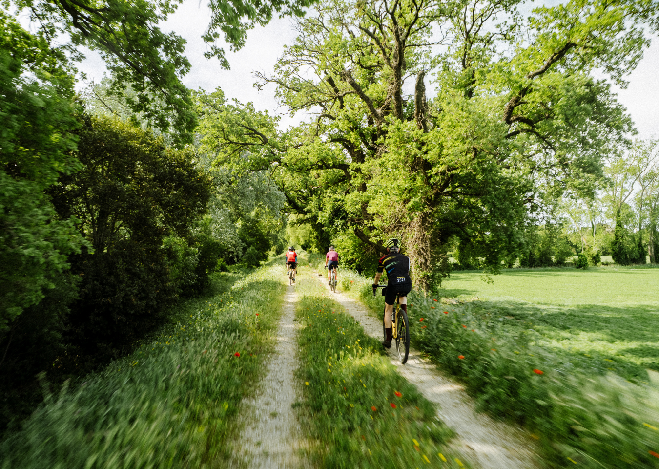 Alpilles - Adventurer 15