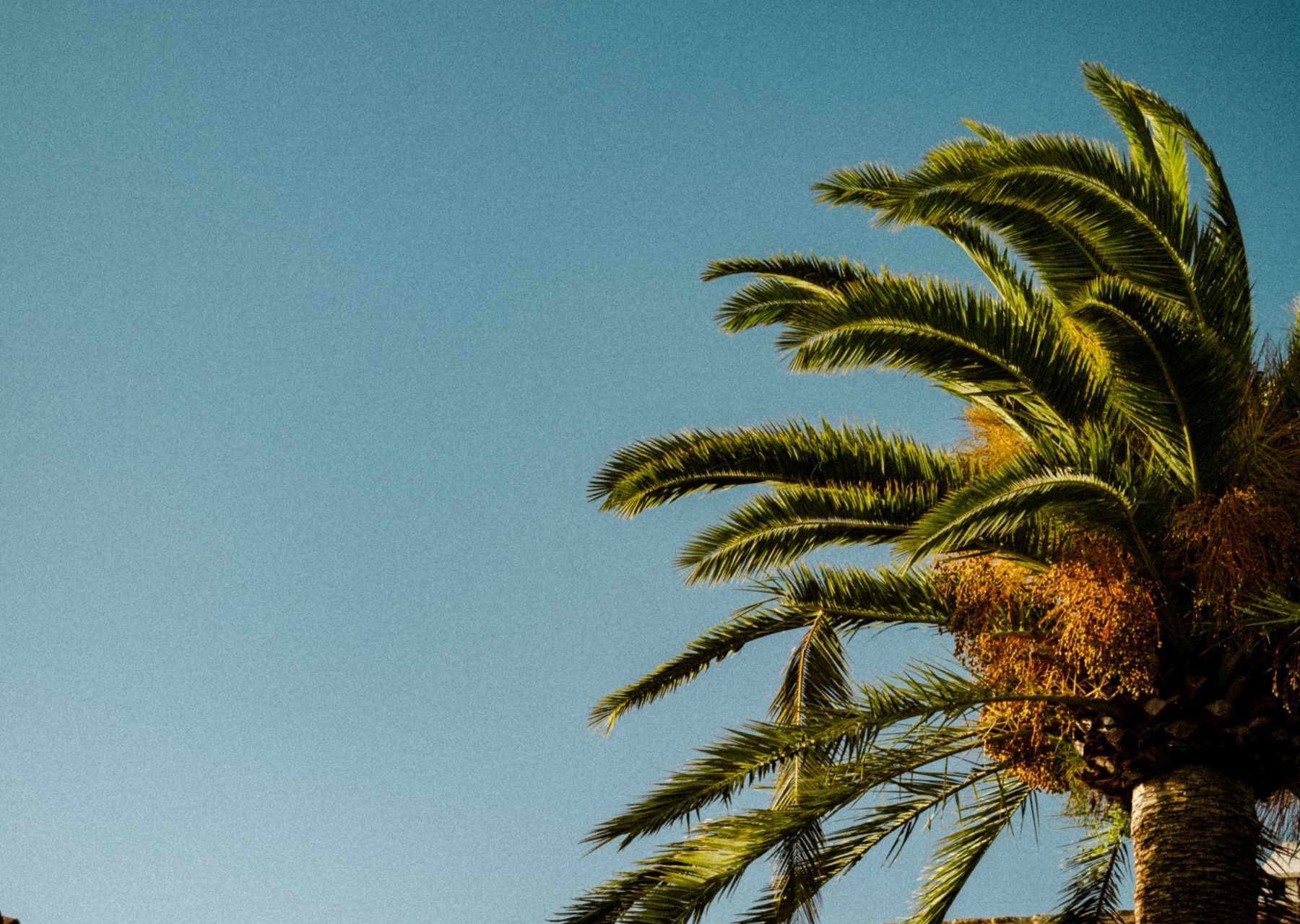 Andalousie Adventurer 16