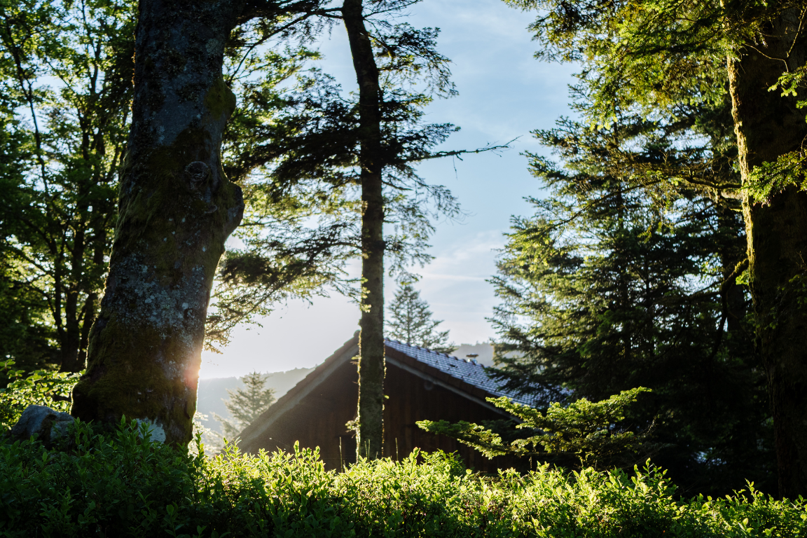 Roadbook Vosges Adventurer GravelUp - Day 1