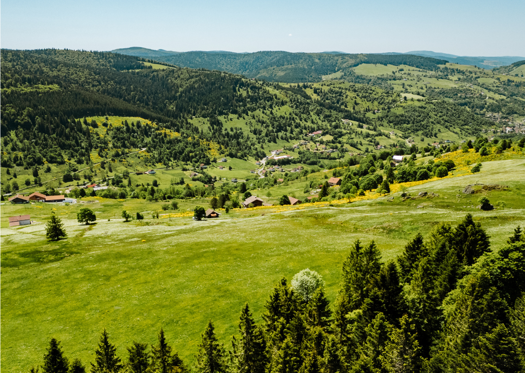 Vosges - Adventurer 1