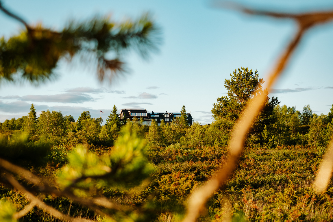 5 Norvège - Explorer - lumières inoubliables