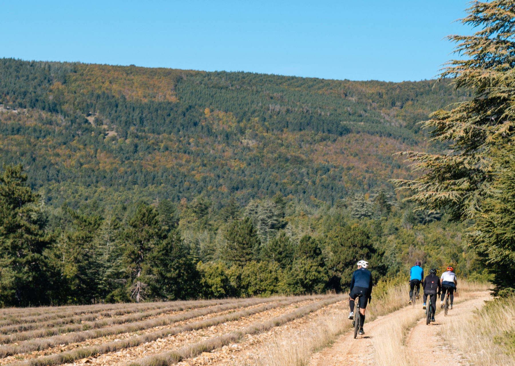 chemins gravel Ventoux 
