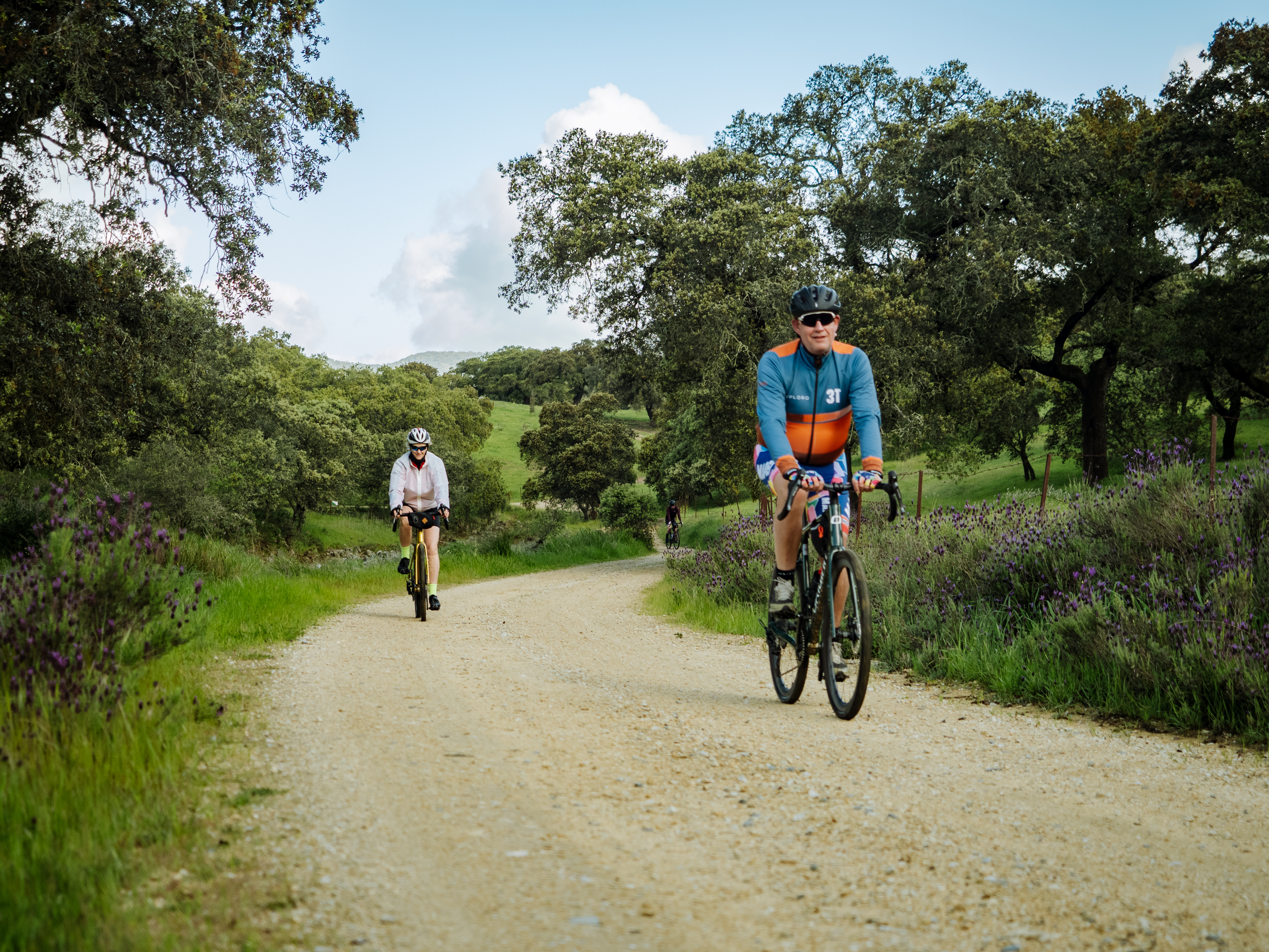 Avis client Andalousie - Michel. C