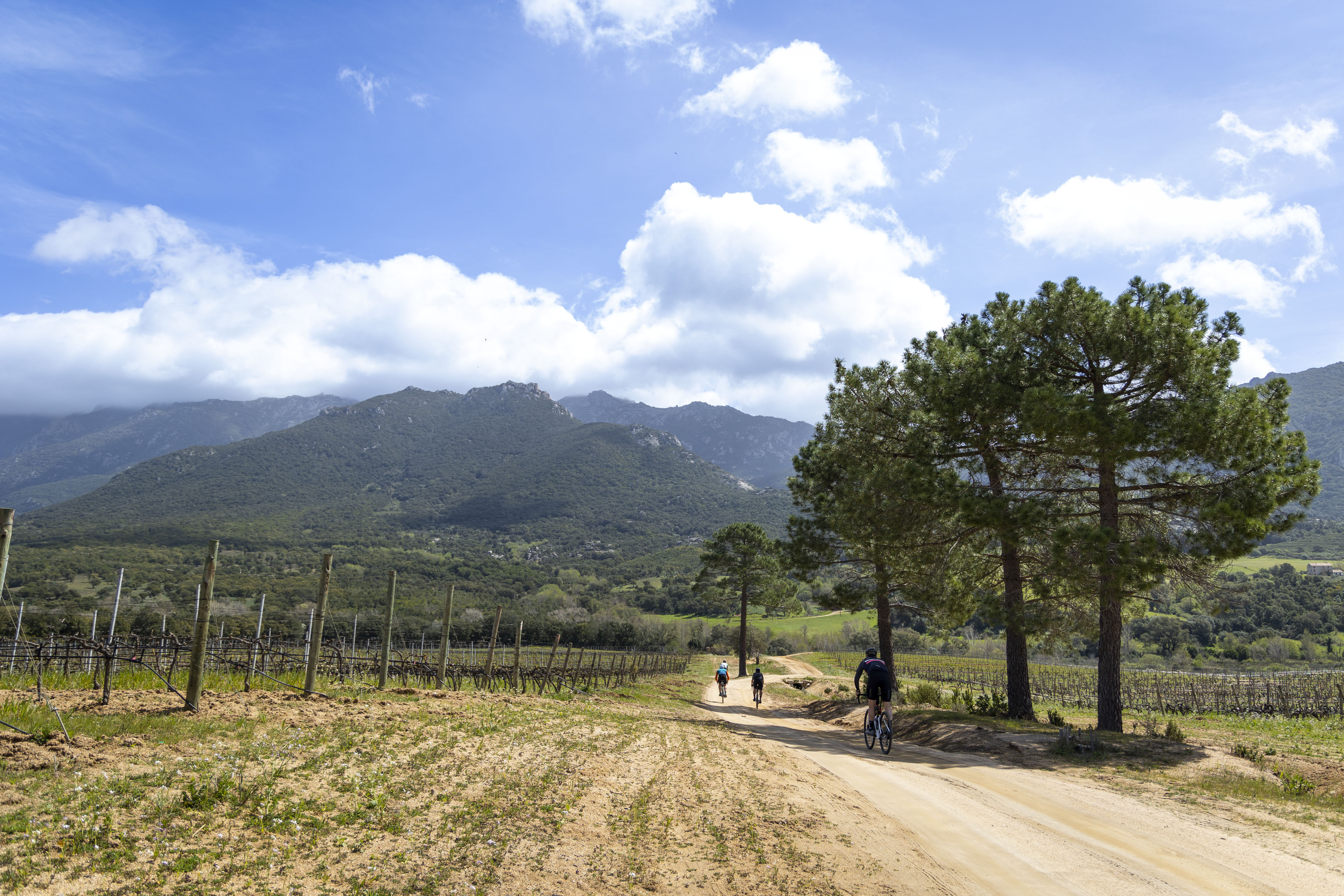 ADVENTURER CORSEGravelCorse-9427