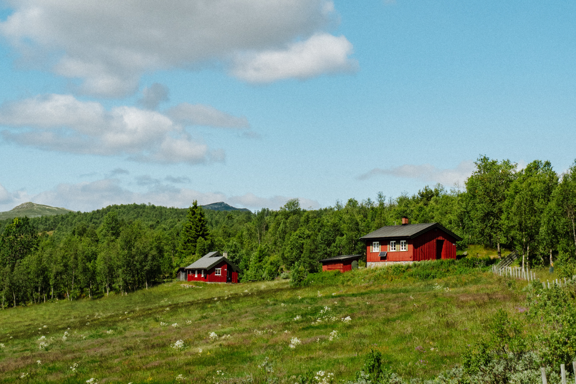 2 Norvège - Explorer - maisons typiques