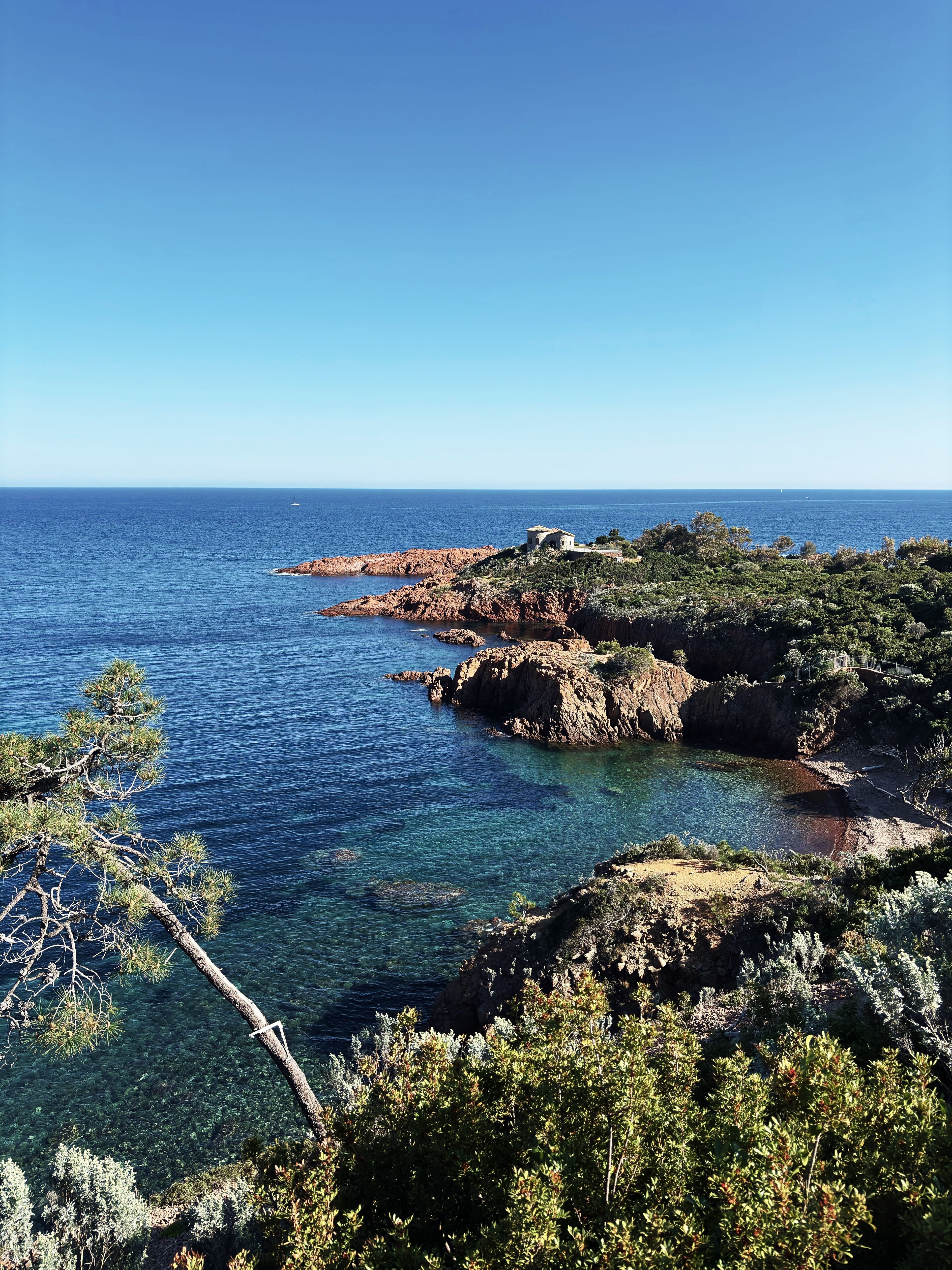 Nice_Adventurer_Nice