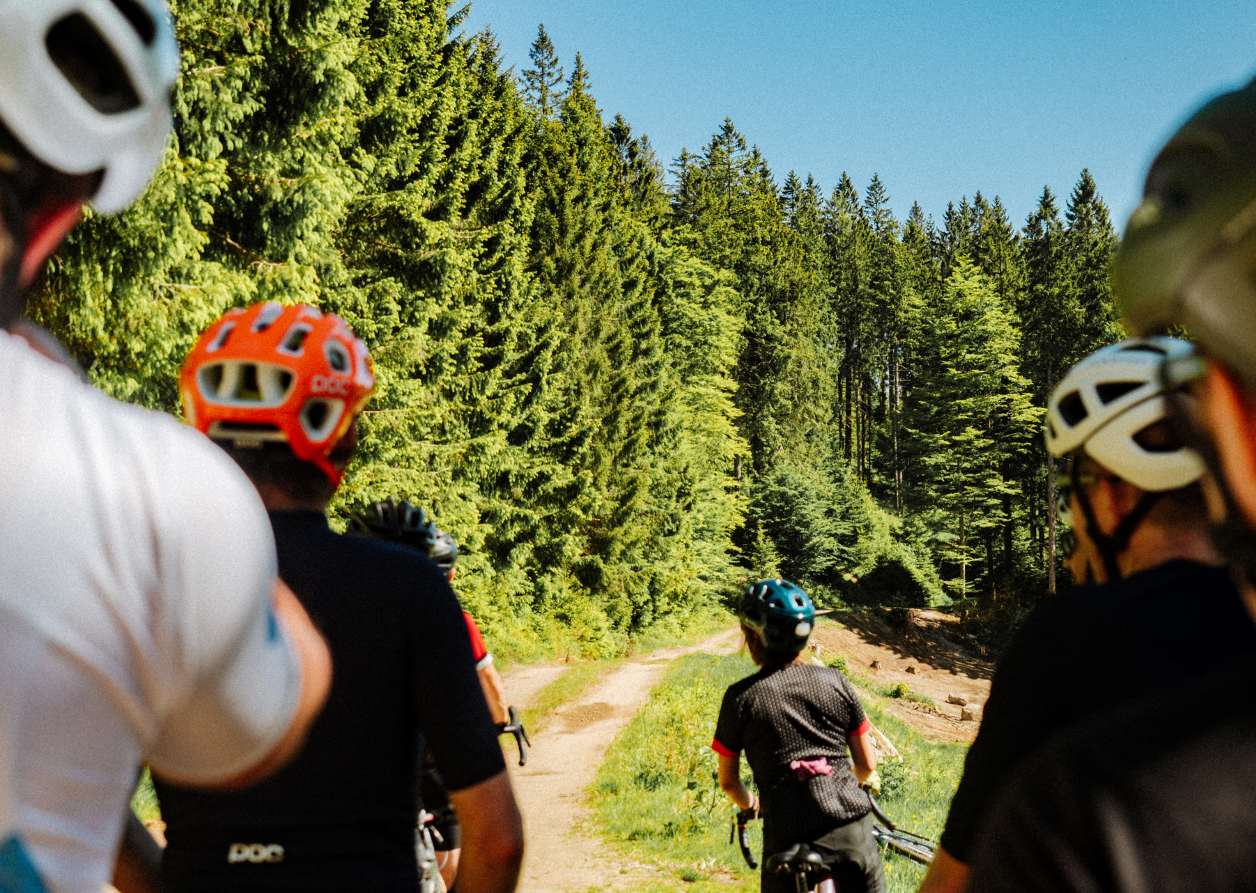 Vosges - Adventurer 3