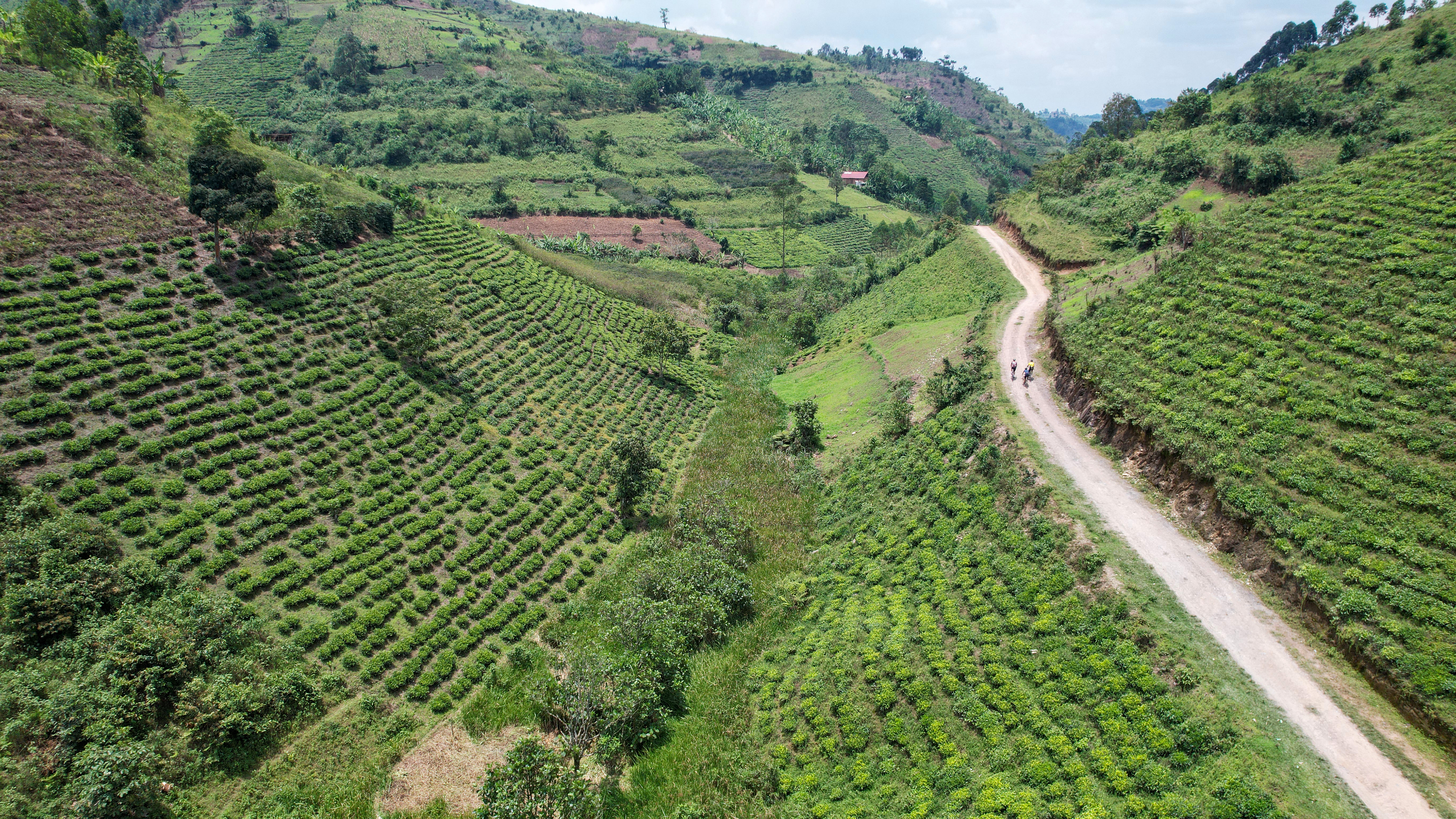 Jour 2_ Rwanda Pathfinder