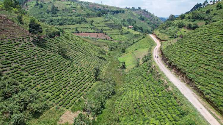 Jour 2_ Rwanda Pathfinder