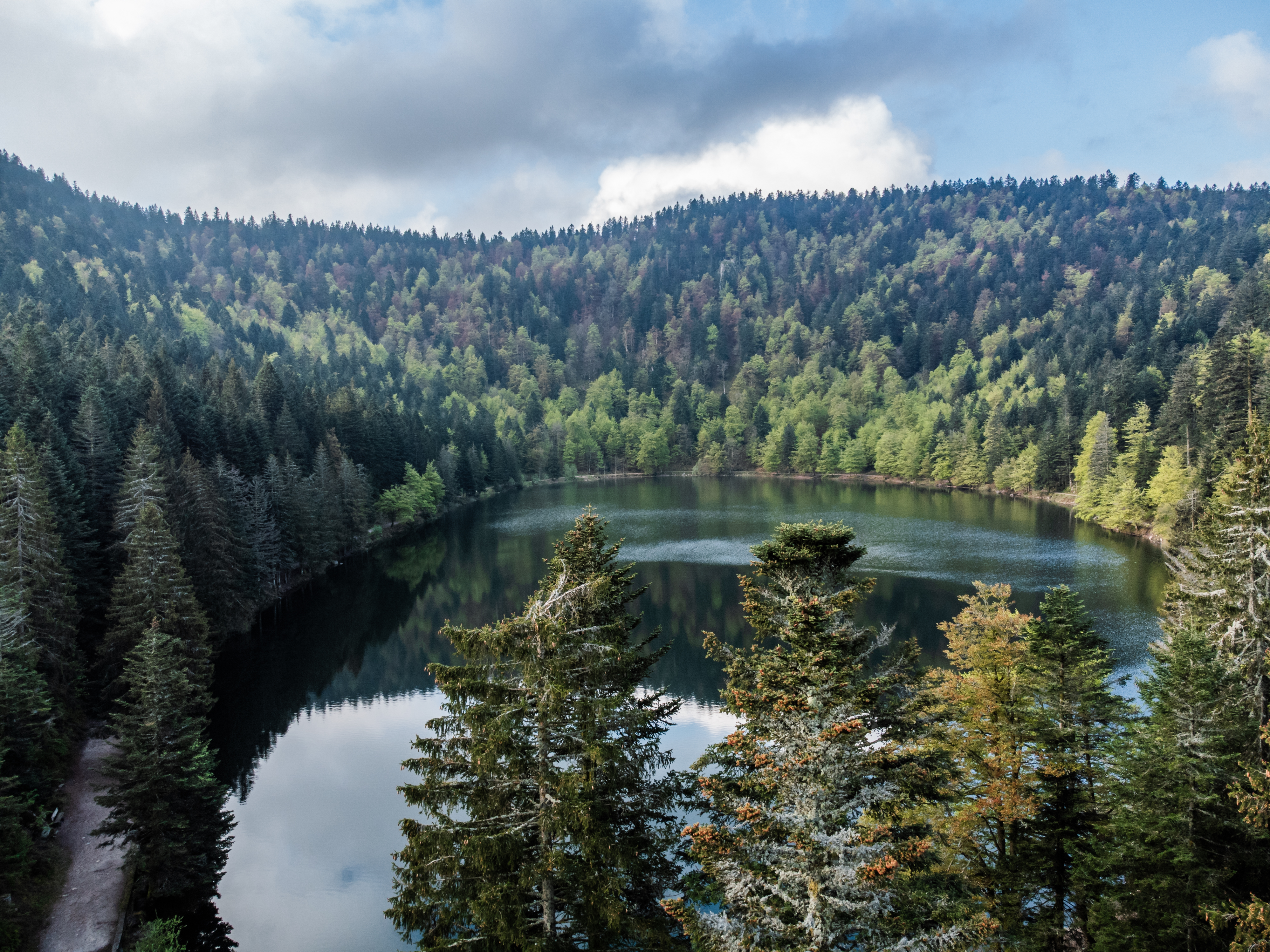 Vue panoramique sur le lac de longera dans Les Vosges