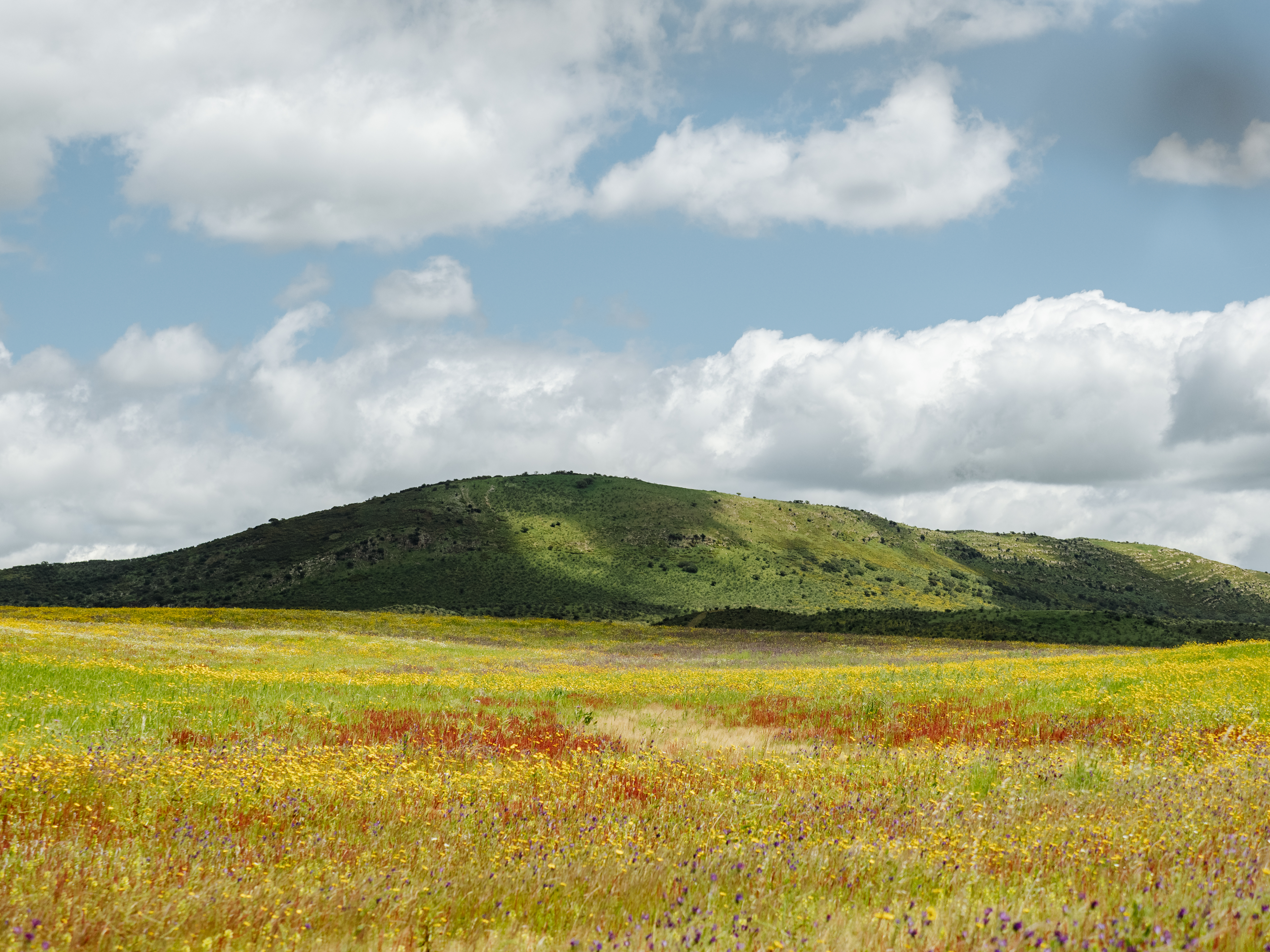 Andalousie_Adventurer_GRVL