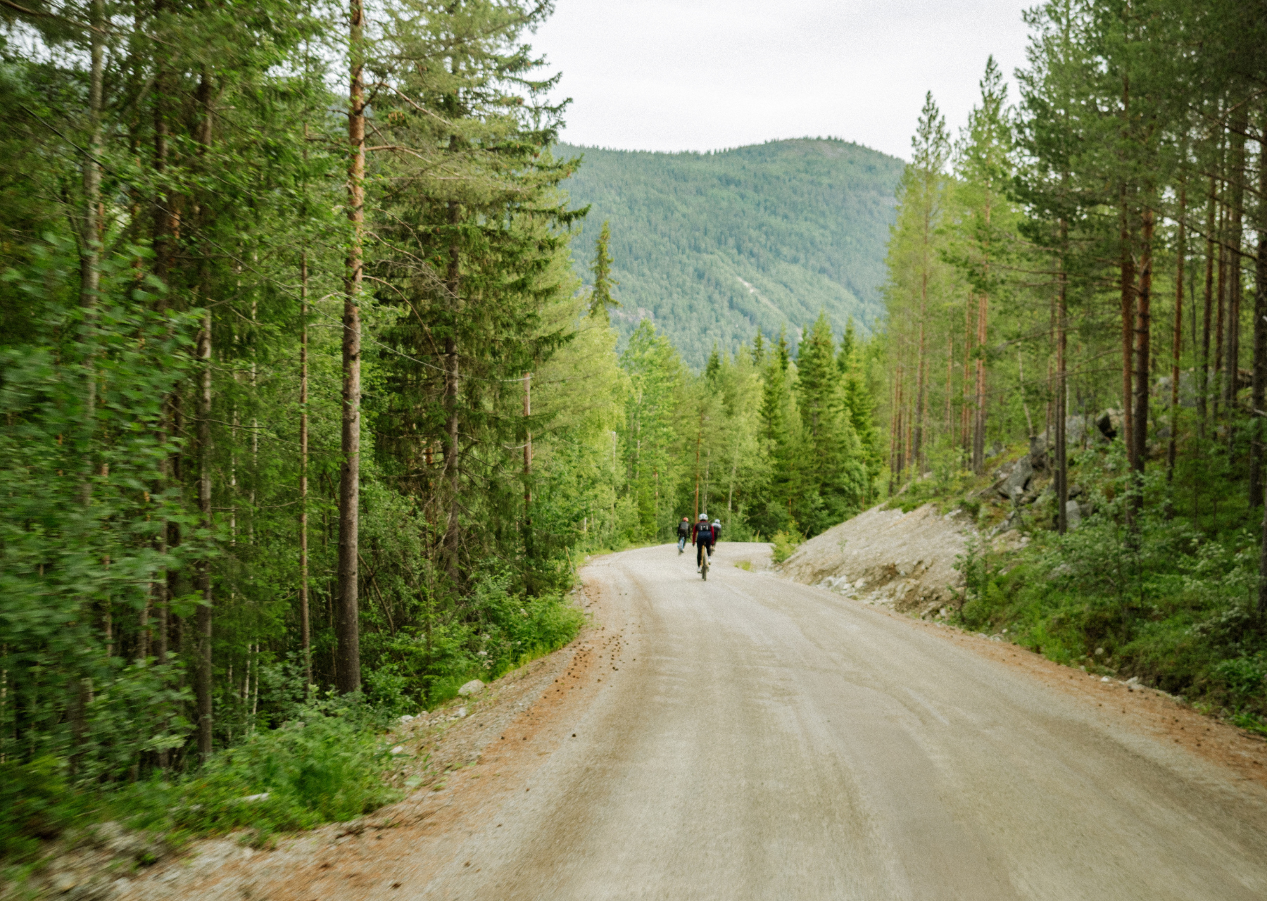 5 Norvège - Adventurer - Nature sauvage d-Oslo