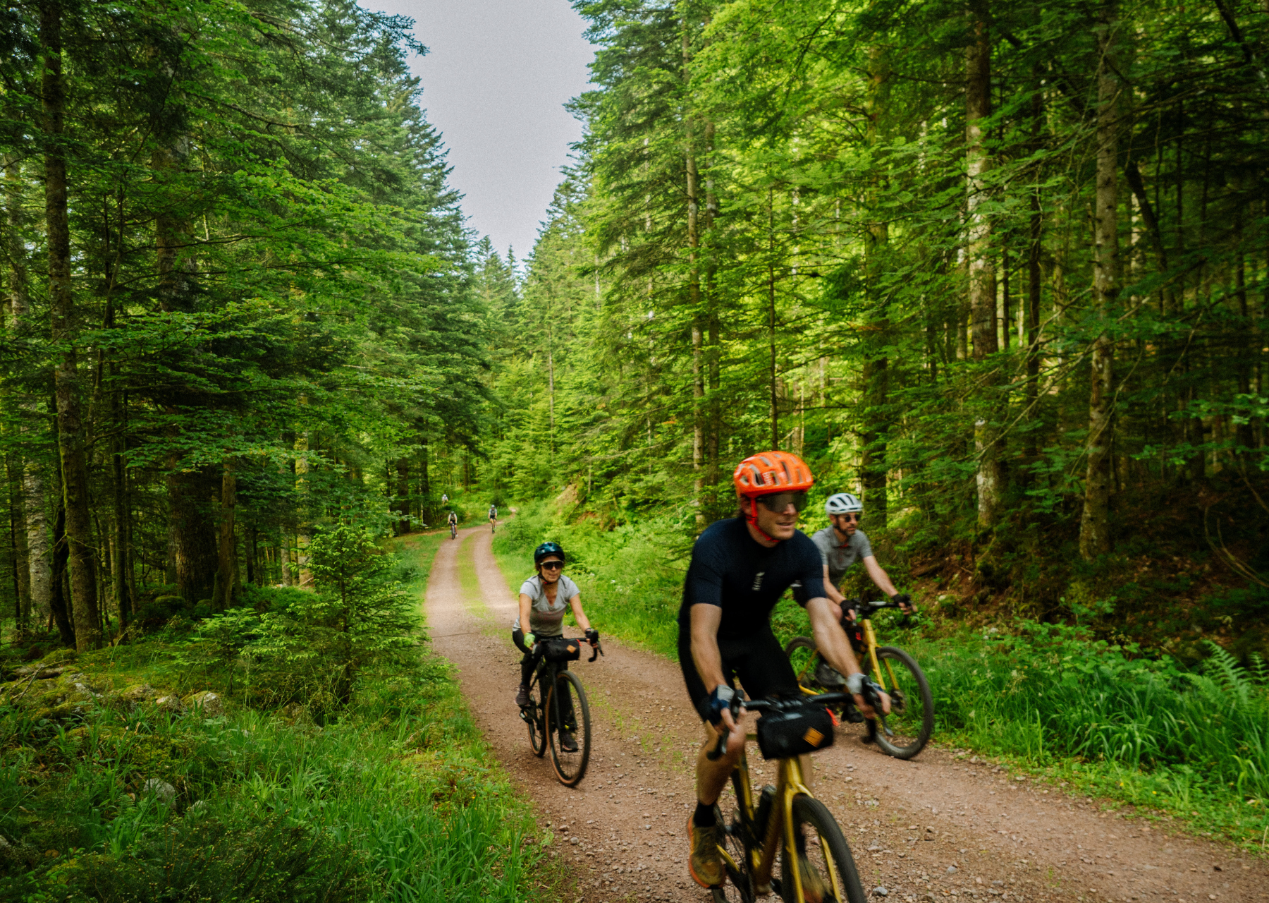 Vosges - Adventurer 11